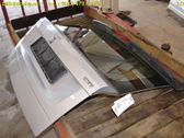 Tailgate/trunk/boot lid