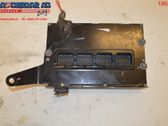 Combustion control unit/module