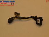 Fog light switch