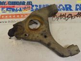Front lower control arm/wishbone