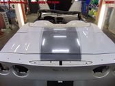 Tailgate/trunk/boot lid