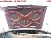 Tailgate/trunk/boot lid