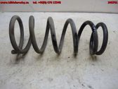 Front coil spring