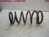 Front coil spring