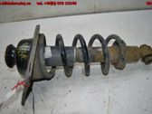 Stoßdämpfer hinten