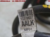 Rear coil spring