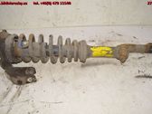 Front shock absorber with coil spring