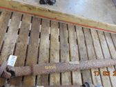 Drive shaft (set)