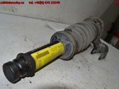Front shock absorber with coil spring