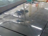 Tailgate/trunk/boot lid