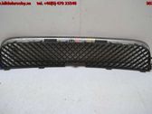 Front bumper lower grill
