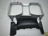 Dashboard trim