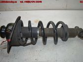 Stoßdämpfer hinten