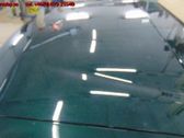 Tailgate/trunk/boot lid