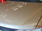 Engine bonnet/hood