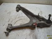 Front lower control arm/wishbone