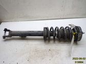 Front shock absorber with coil spring