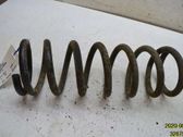 Front coil spring
