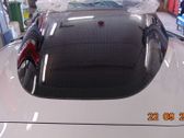 Tailgate/trunk/boot lid
