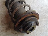 Front shock absorber with coil spring