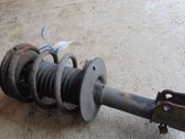 Front shock absorber with coil spring
