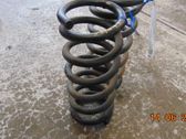 Front coil spring