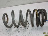 Feder hinten