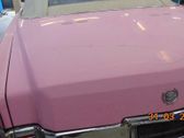 Tailgate/trunk/boot lid