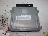 Injection control unit/module