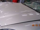 Engine bonnet/hood