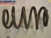 Rear coil spring