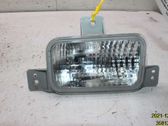 Reverse light