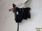 Indicator stalk