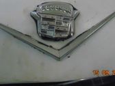 Tailgate/trunk/boot lid