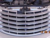 Front bumper lower grill
