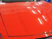 Engine bonnet/hood