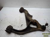 Front lower control arm/wishbone