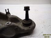 Front lower control arm/wishbone
