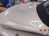 Tailgate/trunk/boot lid