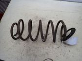 Rear coil spring
