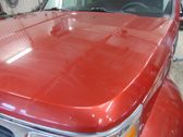 Engine bonnet/hood
