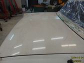 Tailgate/trunk/boot lid