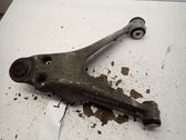 Front lower control arm/wishbone