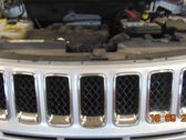 Front bumper lower grill