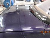 Tailgate/trunk/boot lid