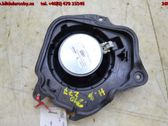 Altavoz de la puerta trasera