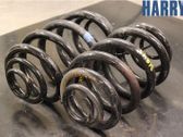 Rear coil spring