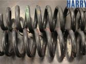 Rear coil spring