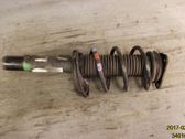 Front shock absorber with coil spring