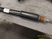 Rear shock absorber/damper